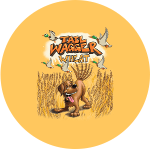 TailWager